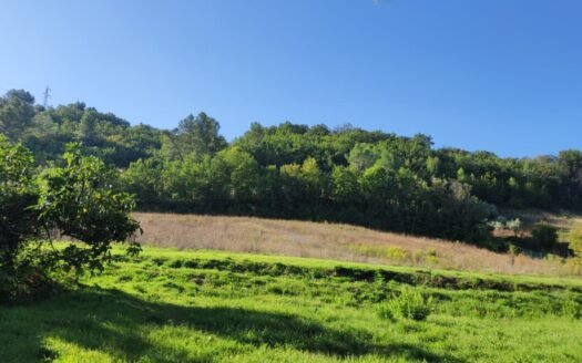 TERRENO EDIFICABILE DI CIRCA 5000 MQ