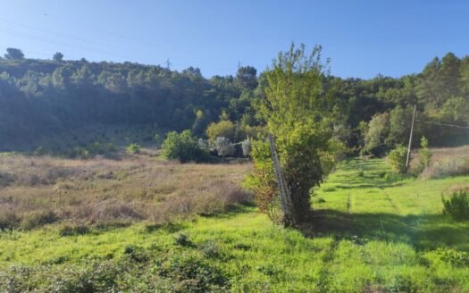 TERRENO EDIFICABILE DI CIRCA 5000 MQ