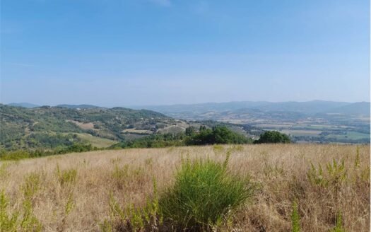 Località Pieve San Sebastiano – Montelaguardia