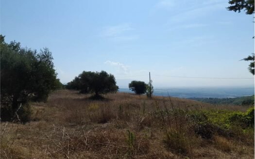 Località Pieve San Sebastiano – Montelaguardia
