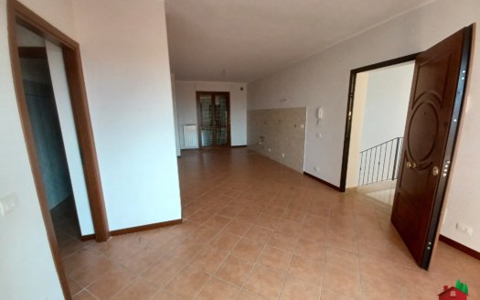 “La Collina degli Ulivi” – Migliano