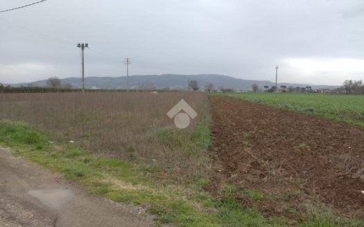 Terreno agricolo in vendita