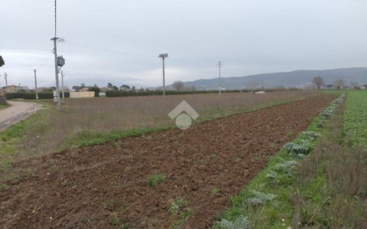 Terreno agricolo in vendita