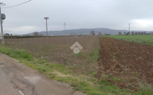 Terreno agricolo in vendita