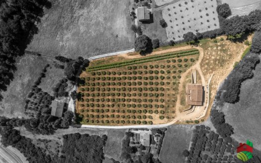 “La Casa sul Toppo” – Papiano